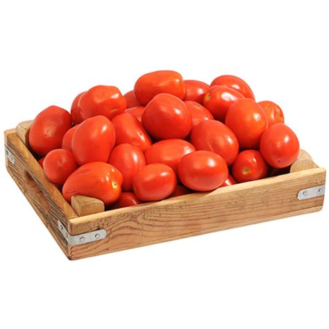 salçalık domates kg fiyatı
